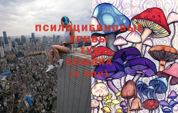 стаф Михайлов
