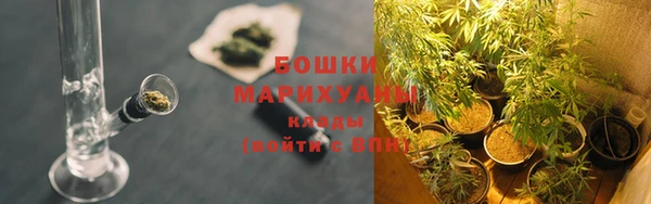 сатива Михайловка