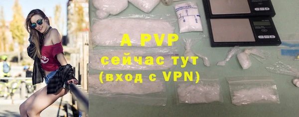 стаф Михайлов
