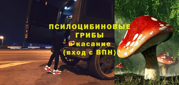 mdpv Михайловск