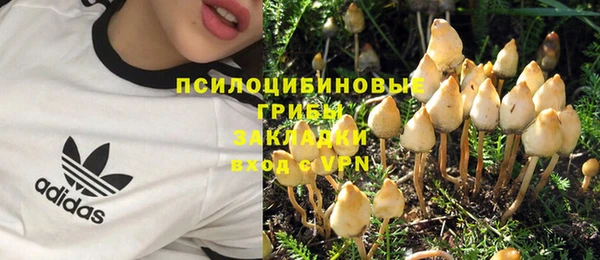 сатива Михайловка