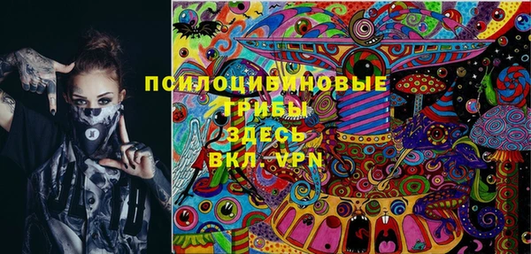 сатива Михайловка