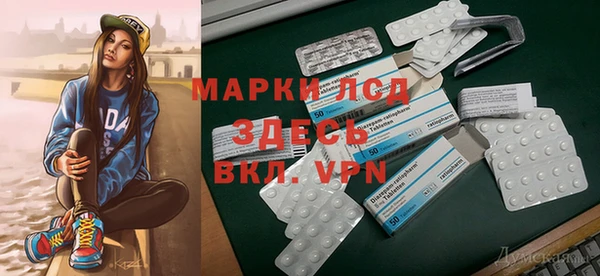 стаф Михайлов