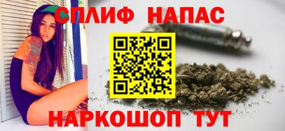 молекула духа Донецк
