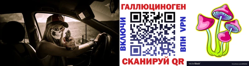 Галлюциногенные грибы Psilocybine cubensis  Псков 