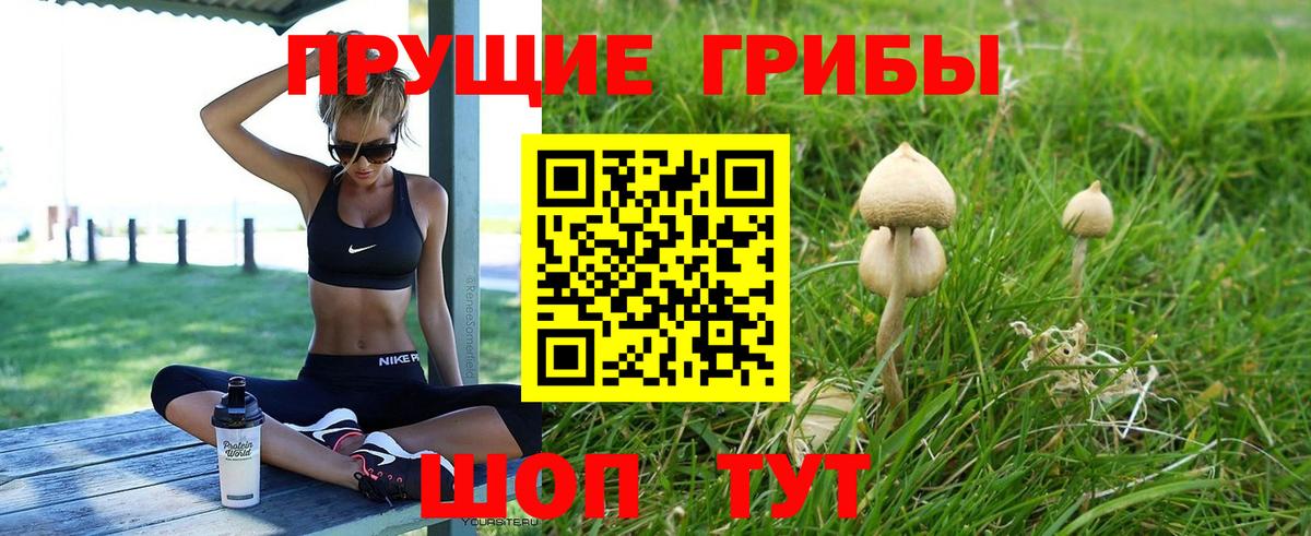 Галлюциногенные грибы Psilocybine cubensis  Галлюциногенные грибы мухоморы  Псков  Вход с VPN 